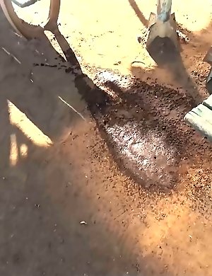Japanese Piss Fetish Porn - PISSY GIRL COMPETITION